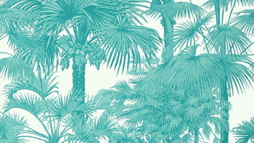 PALM BOTANICAL T10101